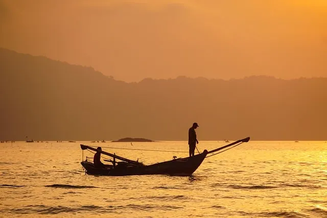 Vitamin D3 1000 IU vs 2000 IU vs 5000 IU: How Much Do You Need? (Plus Zinc)